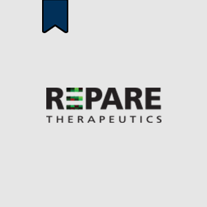 repare-Portfolio-300X300