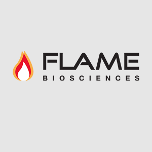 Flame-Portfolio-300X300